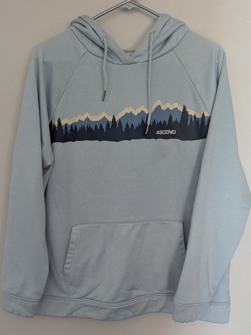 Ascend Mountain Graphic Hoodie in Blue
